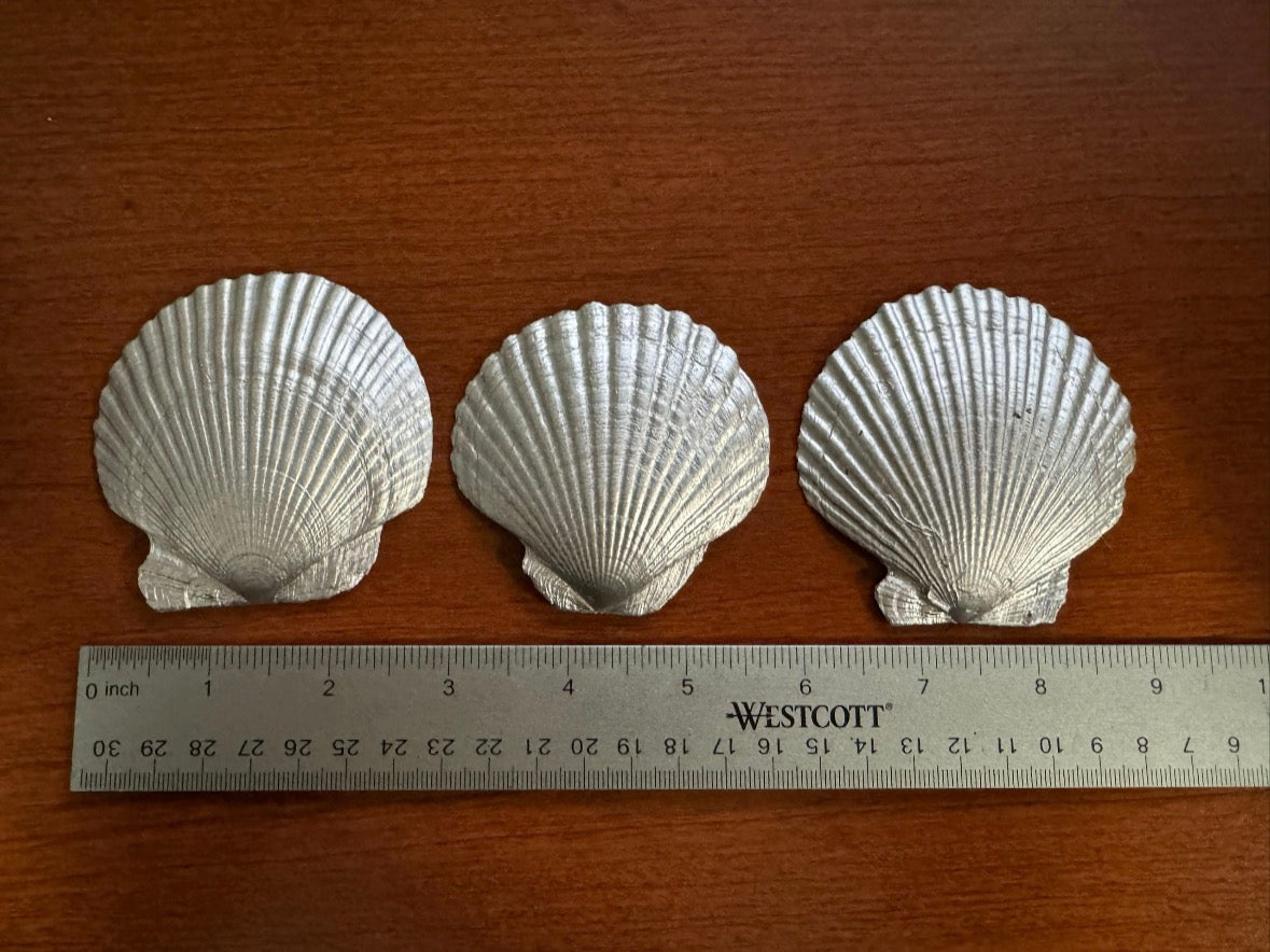 Three Seashells Demolition Man Replica Prop Display