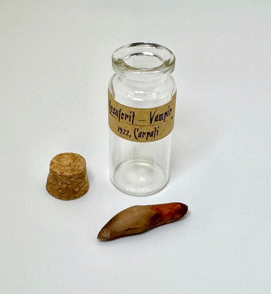 Nosferatu Inspired Extracted Vampire Fang Specimen